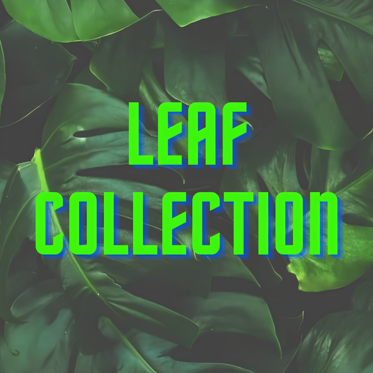 LEAF COLLECTION